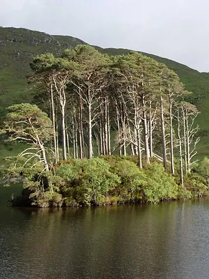 Grand Tours of Scotland's Lochs