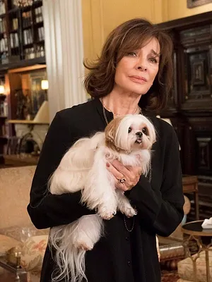 New York Unité Spéciale S19 E22