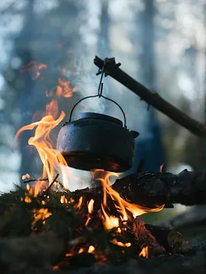 Retour à l'instinct primaire