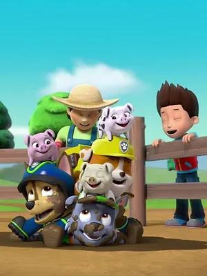 Paw Patrol, la Pat'Patrouille S3 E9