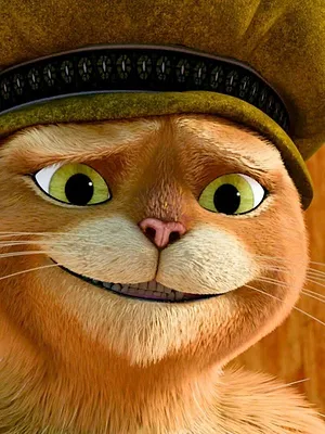 Les aventures du Chat Potté S5 E1