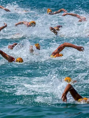 Triathlon : World Triathlon Championship Series