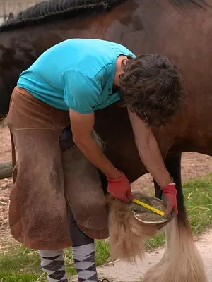 Au galop !