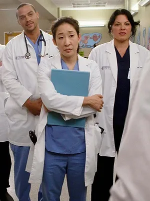 Grey's Anatomy S6 E8