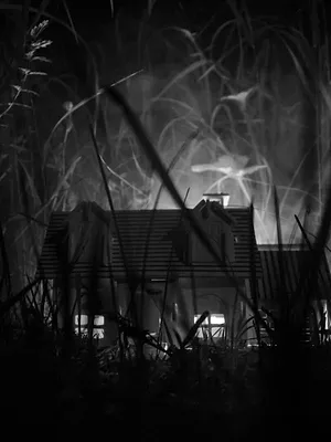 Ghost Brothers : enquêtes à l'aveugle