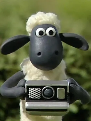 Shaun le mouton S1 E15