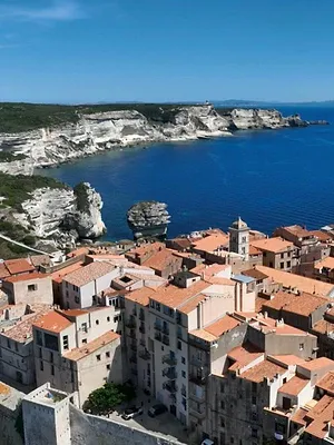 Des racines et des ailes