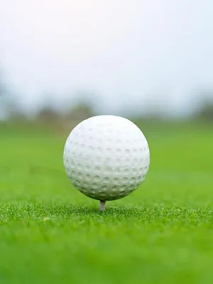 Golf : Ryder Cup