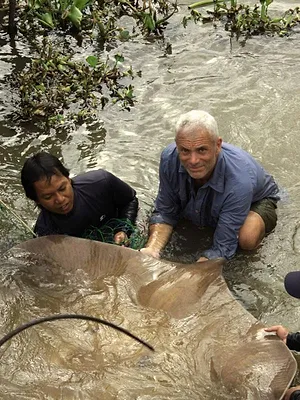 River Monsters
