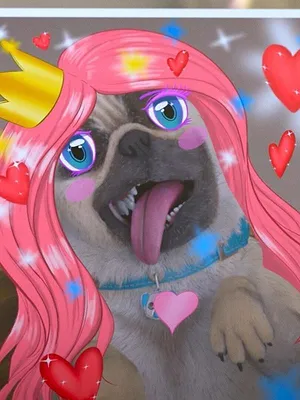 Mike, une vie de chien S1 E34