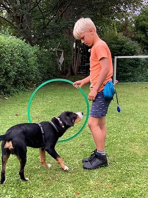 Liebste Fellnasen - Abenteuer Hundeschule