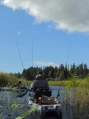 La descente suédoise