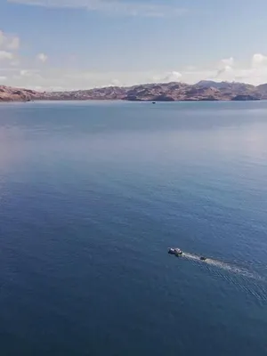 Seuls face à l'Alaska