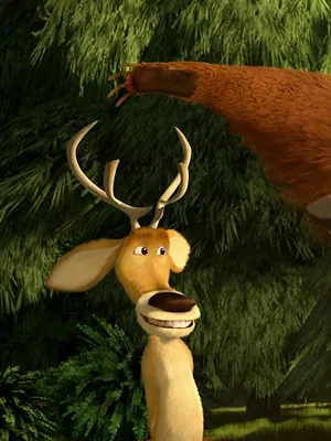 Les rebelles de la forêt 3