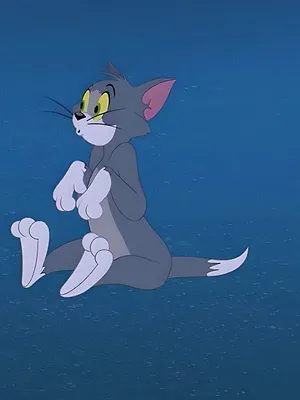 Tom et Jerry Show S4 E24