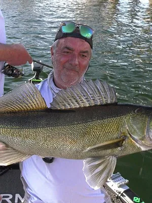 Le sandre, nouveau roi d'Estrémadure