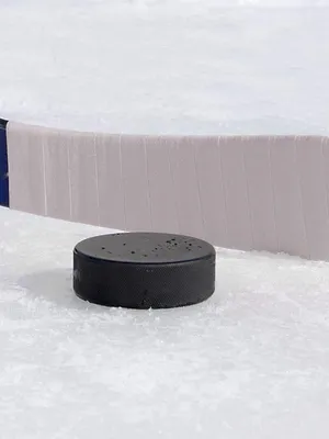 Hockey sur glace : Ligue Magnus