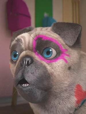 Mike, une vie de chien S1 E24