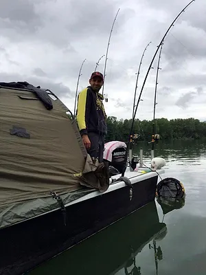 Les silures record du Tarn
