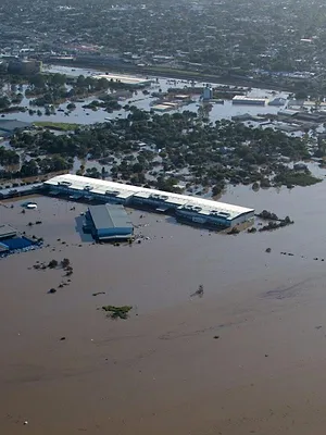 Australie : urgences faune sauvage