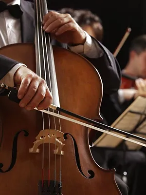 Nutcracker | Chinese dance