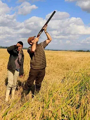 Bécassines, bécasses sous le soleil du Maroc