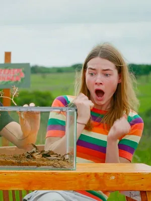 Steken en Prikken in Zuid-Afrika