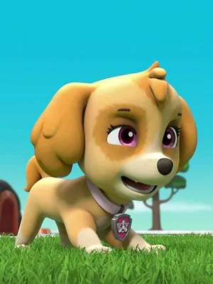 Paw Patrol, la Pat'Patrouille S5 E14