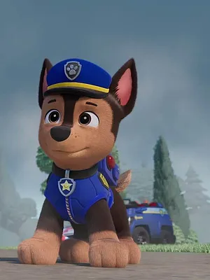 Paw Patrol, la Pat'Patrouille S12 E3