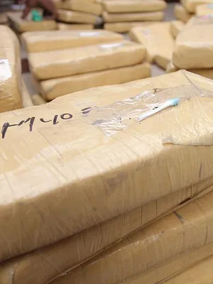 Tygo in de Flakka