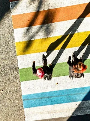 Trans* am Land: Die Reise zum Wohlfühlgeschlecht