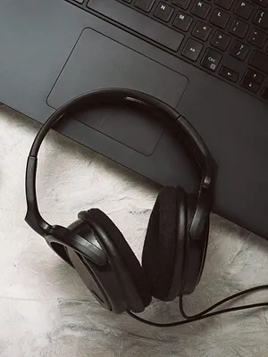 Ant & Sav vs the World