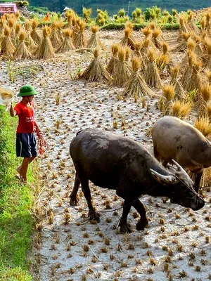 Un billet de train pour...