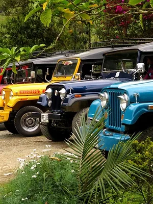 Frères mécanos : mission restauration