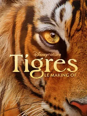 Tigres : le making of