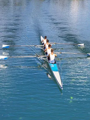 Aviron : Championnats d'Europe