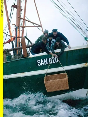 Der Seehund von Sanderoog