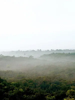 Le mystère des rivières volantes d'Amazonie