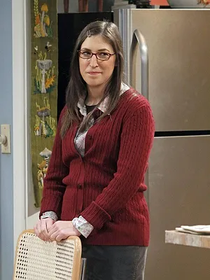 Big Bang Theory S5 E23