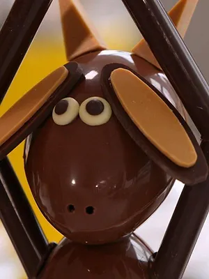 Les carnets de Julie