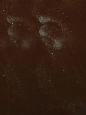 Les signes du mal