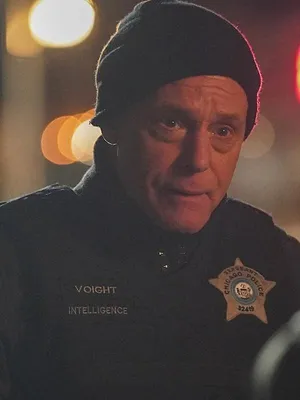 Chicago Police Department S12 E19