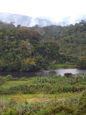 Invitation au voyage