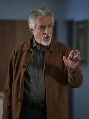 Esprits criminels S16 E9