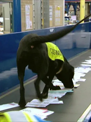 Douanes sous haute surveillance