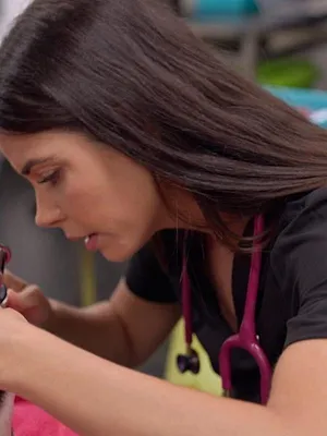 Le vétérinaire de Bondi Beach