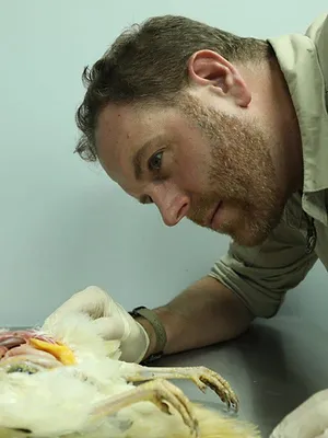 Josh Gates et les trésors perdus