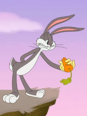 Looney Tunes Cartoons S4 E9