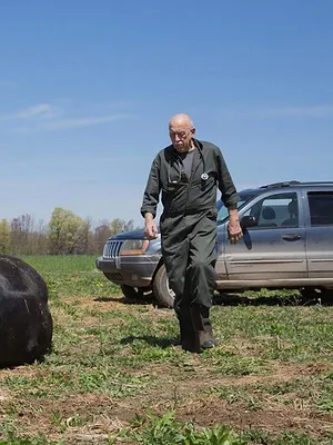 L'incroyable Dr Pol Compilations