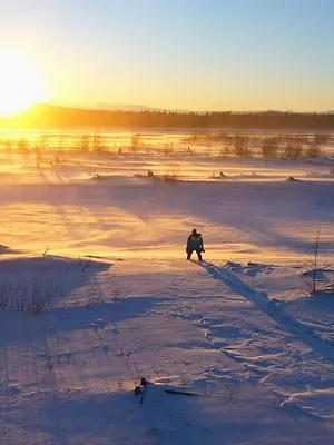 Alaska : nouvelle vie